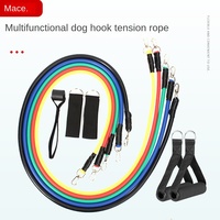 11 pièces 100 livres TPE corde élastique ensemble Fitness Tension costume pour chien Yoga et entraînement musculaire bandes d'exercice efficaces