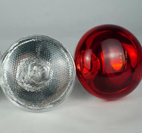 Lampe chauffante infrarouge en aluminium durable de haute qualité 175W 250W 275W 24V étanche et anti-explosion pour élevages de bétail et de volailles