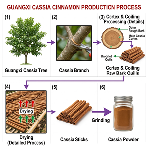 Conteneur de 20 pieds de cannelle séchée en vrac pour l'expédition d'ingrédients alimentaires et de boissons - Product Image 5