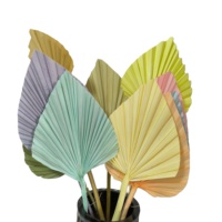 Vente en gros d'usine petite lance de palmier ovale en forme de coeur coloré brun bleu noir feuille de palmier sèche feuilles de palmier séchées pour la décoration