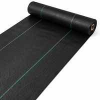Toile de paillage noire en PP stabilisée aux UV 100 g/m² pour couverture de sol commerciale en verger