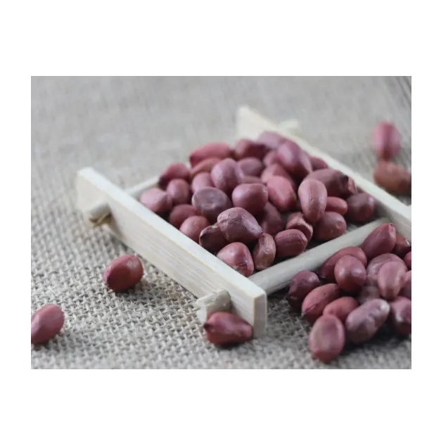 Bio-grüne ohne Zusatzstoffe rote Haut Erdnusskernen aus China