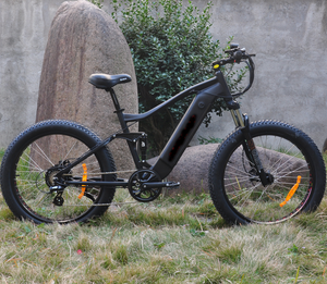 LOHAS vélo de montagne électrique au meilleur prix OEM est disponible ebike pour adulte avec affichage coloré vélo électrique pour la montagne - Product Image 1