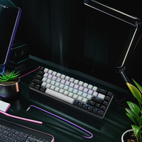 Özel Yeni Çift Modlu 68 Tuşlu Mini LED RGB Arkadan Aydınlatmalı Mekanik Mouse Gateron Cherry Kailh ERGONOMİK QWERTY Tasarımlı Laptop Tablet
