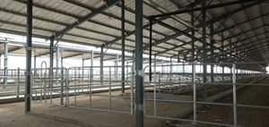 Bucles para diario, sin vaca - Product Image 2