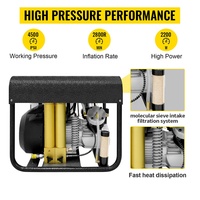 TUXING Stable Performance High Pressure 4500psi 300bar Auto Stop 220V Firefight Tyre Inflation Air Compressor for Scuba Diving