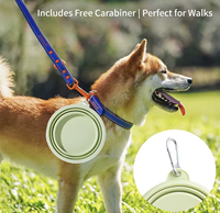 Vente en gros de bols pliables en silicone pour animaux de compagnie, portables, pour voyages en plein air, pour chat et chien, avec mousqueton