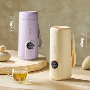Hervidor Eléctrico Portátil de Acero Inoxidable 304/316 de 550 ml, Taza Calentadora de Agua para Viajes, para Té y Café, con 3 Controles de Temperatura - Product Image 2