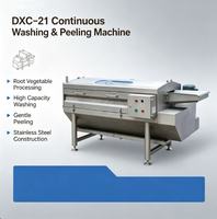 DXC-21 Continue Wortelgroentewas- en Schilmachine SUS304 RVS Aardappel Gember Wortel Verwerkingsapparatuur