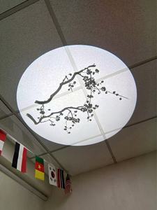<span class=keywords><strong>Projecteur</strong></span> Gobo d'extérieur étanche avec rotation d'image pour éclairage d'<span class=keywords><strong>arbre</strong></span> - Product Image 6