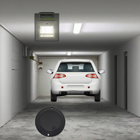 Capteur de stationnement Dingtek Lorawan pour parking |   Système de stationnement intelligent |   LoRa/NB-IoT |   Capteur de niveau DO201/DO202 à bas prix