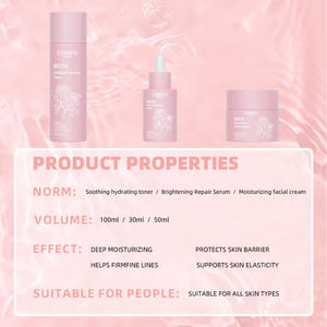 Private Label Niacinamide Verhelderende Anti Veroudering Rimpels Retinol Crème Serum <span class=keywords><strong>Rose</strong></span> Toner Gezichtsverzorging Set - Product Image 6