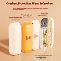 Chauffe-mains électriques rechargeables portables à thermostat réglable magnétique 2 en 1 6000 mAh Protection contre la surchauffe