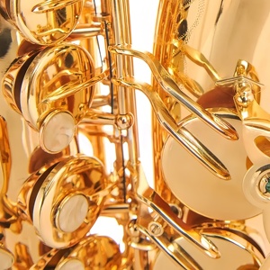 แซกโซโฟนอัลโต EB ระดับมืออาชีพ OEM หัวเบกาไลต์ เคลือบทอง ตัวเครื่องทองเหลือง คีย์คู่ เครื่องดนตรีลมสำหรับผู้เริ่มต้น พร้อมกล่อง - Product Image 3
