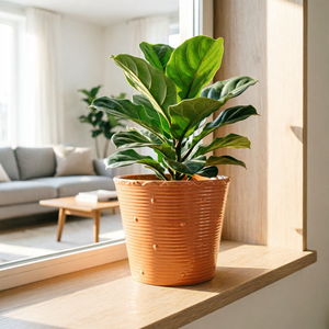 Pots à fleurs en céramique <span class=keywords><strong>de</strong></span> qualité supérieure, 6,5 pouces, rose pêche, à bord festonné côtelé, pour <span class=keywords><strong>une</strong></span> <span class=keywords><strong>d</strong></span>écoration élégante <span class=keywords><strong>de</strong></span> la maison et du jardin, plantes et fleurs <span class=keywords><strong>d</strong></span>'intérieur - Product Image 3