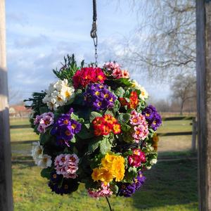 Jardinières suspendues décoratives en forme de boule SL-Y060 Décoration de jardin Jardinières suspendues à fleurs pas chères - Product Image 1