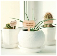 Étiquettes de jardin 24 Pcs Marqueurs de plantes amusants Étiquettes de plantes en bois pour fleurs potagères Plantes en pot de jardin