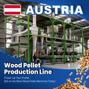 RICHI Nouvelle Conception Usine de Production de Granulés de <span class=keywords><strong>Bois</strong></span> Vente Chaude Autriche Ligne de Granulés de Biomasse Robuste 1-10T/H à Vendre - Product Image 1