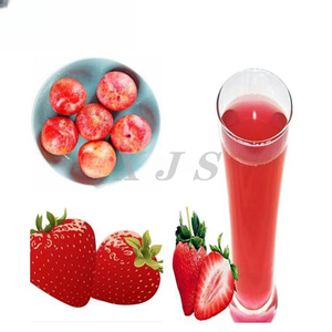 Estrattore di Succo Industriale Professionale a Freddo per Negozi di Succhi Commerciali - Product Image 6