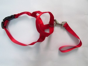 QUCHONPET 2024 Hot Best Selling Hot Gentle Leader Leader No Pull Dog <b>Collar</b> and <b>Leash</b> Perfect for Training - Product Image 4