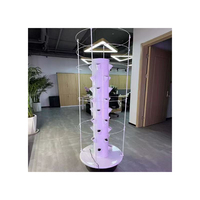 Système de culture hydroponique vertical AGG chinois à 9 couches pour la culture de la laitue en forme de fleur, idéal pour la plantation de fraises/laiteuses