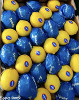 2025 Verse Fruit & Groenten Hoge Kwaliteit Geïmporteerd uit China Groothandel Pitloze Citroenen Langdurige Versheid Superieure Smaak Koel