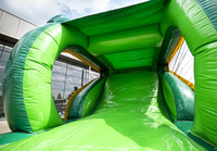 Videur gonflable d'enfants extérieurs de PVC de conception de crocodile avec les glissières et le rebond d'amusement pour sauter et jouer