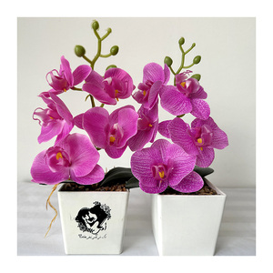 Mini <span class=keywords><strong>Bonsai</strong></span> 5 Kuntum Anggrek Sentuhan Asli <span class=keywords><strong>Bonsai</strong></span> Anggrek <span class=keywords><strong>Phalaenopsis</strong></span> Set Tanaman Anggrek Sentuhan Asli - Product Image 4