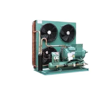 Unidad de refrigeración de cámara frigorífica unidad de condensación unidad de refrigeración de ahorro de energía para almacenamiento en frío