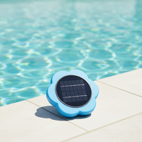 Heißer Verkauf: Automatischer industrieller Solar-Ionisator für Schwimmbäder – Chlorreiniger und Poolzubehör für den Außenbereich