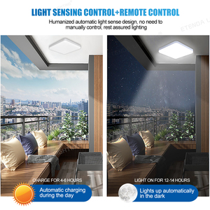 Nhà Máy Giá 40W 60W 100W 200W 300W 400W 500W 600W 1000W Có Thể Sạc Lại Vòng Ngoài Trời Năng Lượng Mặt Trời Trong Nhà Ánh Sáng Trần - Product Image 3