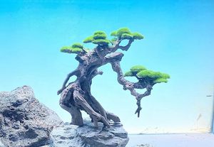 ベトナム装飾流木盆栽水族館流木品質製品水族館生きている植物 - Product Image 6