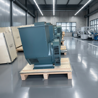 Alternateur triphasé sans balais OEM 50 kW, double roulement, 400 V 50/60 Hz avec AVR, 100 % cuivre