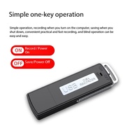 Grabadora de Voz y Sonido Portátil, Mini Memoria USB con Cuerpo Metálico, Capacidad de 1GB/2GB/4GB, Interfaz USB 2.0