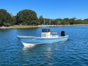Liya Chine nouveau 19ft 25ft bateau Panga en fibre <span class=keywords><strong>de</strong></span> verre FRP bateau <span class=keywords><strong>de</strong></span> <span class=keywords><strong>pêche</strong></span> avec moteurs hors-bord à vendre - Product Image 2