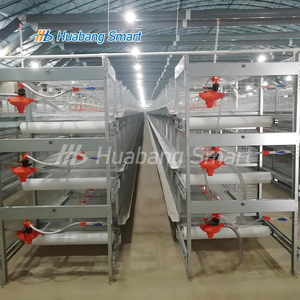 Cage à poulets de type H galvanisée à chaud, système de cages avicoles automatiques, équipement pour poulets de chair et pondeuses avec système <span class=keywords><strong>d</strong></span>'évacuation du fumier - Product Image 6