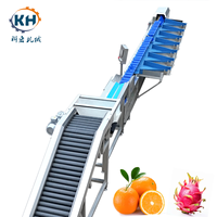 Transportbandtype gewichtssorteermachine met display voor het sorteren van tomaten & fruit en groenten, controleweegschaal, OEM ODM ondersteund