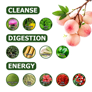 Thé Détox OEM ODM avec Chardon-Marie, Feuille de Pissenlit et Feuille d'Ortie – Boost d'Énergie et Immunité – Thé Détox Amincissant pour Adultes - Product Image 6
