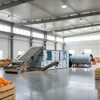 Déshydrateur de fruits : passion, abricot, citron, clémentine