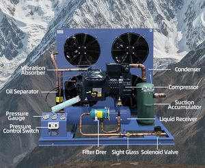 Máy Làm Lạnh Đông Lạnh Thiết Bị Ngưng Tụ Máy Nén Làm Mát Bằng Không Khí Mở 12V - Product Image 2