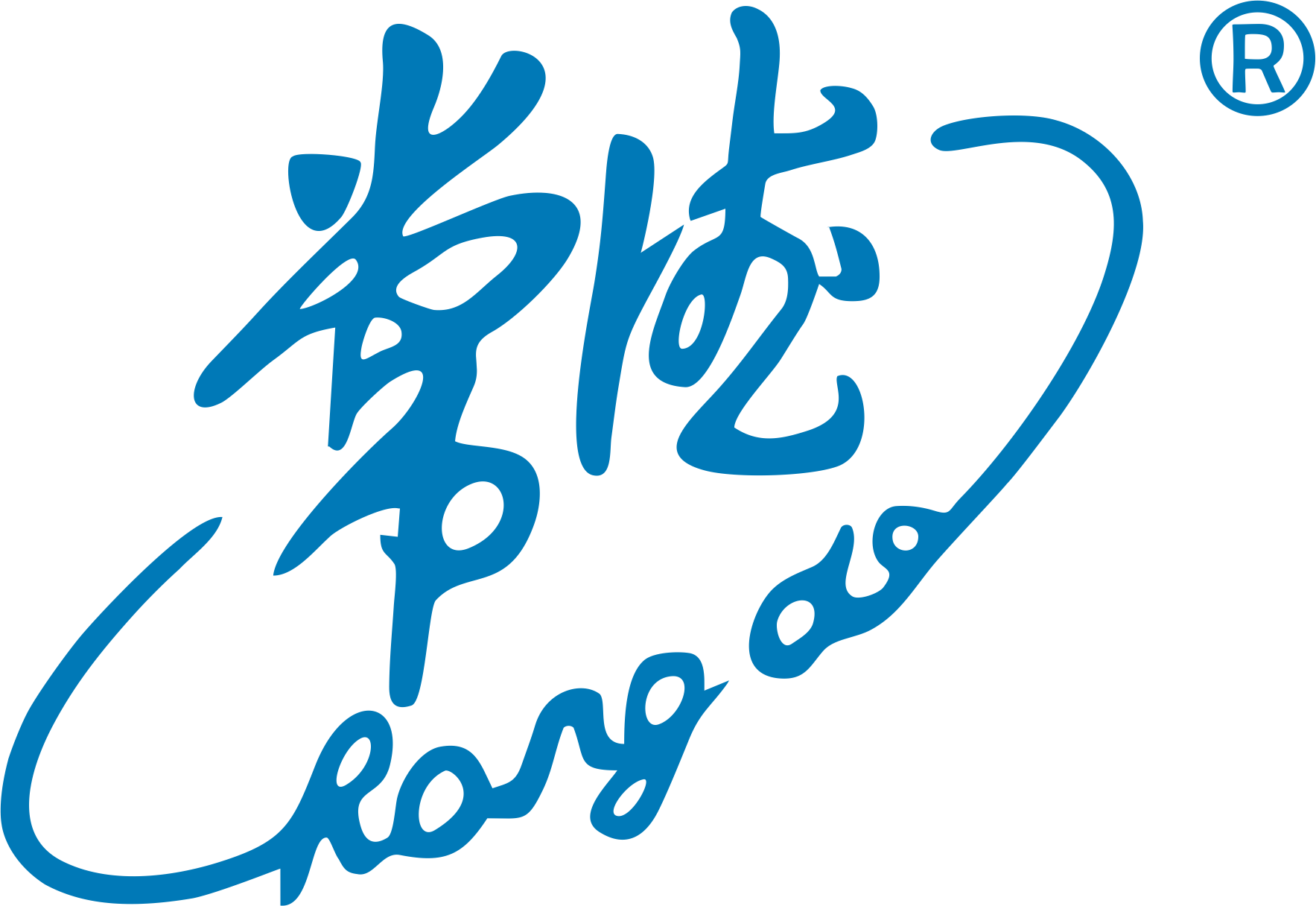 Hunan Changde Water Meter Manufacture Co., Ltd. logo