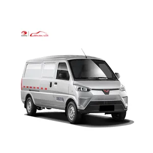 Auto usate a buon mercato siti web Online auto acquisto 2 posti Mini Van piccolo camion Wuling Ev50 In magazzino