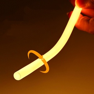 8.5mm 360 Degree Full Glow LED Neon <b>Rope</b> <b>Light</b>, Dual Row COB Round Neon Strip 3M for DIY Decoration - Product Image 2