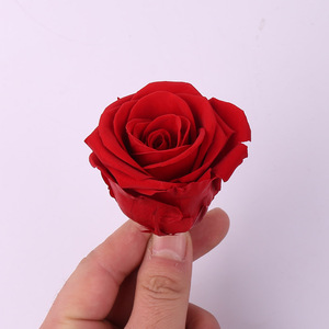 8 pz/set naturale vera rosa incantata conservata fiore di rosa fresca luce fiori eterni rosa regalo <span class=keywords><strong>per</strong></span> <span class=keywords><strong>lei</strong></span> il giorno di <span class=keywords><strong>San</strong></span> <span class=keywords><strong>Valentino</strong></span> - Product Image 3