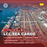 Meilleurs tarifs pour les services de fret maritime, fret palettisé de Shenzhen vers le Cambodge, l'Australie, le Portugal, la Hongrie, l'Autriche