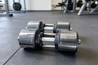 DINUO Nouvelle Haltère Ajustable Revêtue par Pulvérisation avec Support de Rangement, Incrémentation de Poids de 1 kg, Idéale pour l'Entraînement de Force Progressif à Domicile