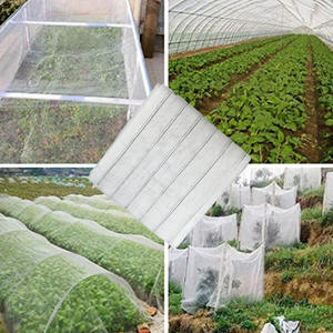 Filet anti-insecte de <span class=keywords><strong>protection</strong></span> de serre <span class=keywords><strong>transparent</strong></span> en <span class=keywords><strong>plastique</strong></span> PE-HD pour l'agriculture en Chine - Product Image 3