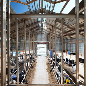 Struttura in Acciaio Leggero Q345/Q235 2022 <span class=keywords><strong>per</strong></span> Piccolo Stalla Prefabbricata <span class=keywords><strong>per</strong></span> <span class=keywords><strong>Bovini</strong></span>, Zincata a Caldo, Marca ShenFeng, Saldatura Inclusa - Product Image 5