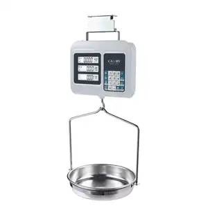 Wholesale Durable Digital Price Computing Hanging Scale with Large Weighing Pan Mechanical Commercial Scale