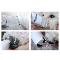 Tondeuse pour animaux de compagnie rechargeable par USB, autonomie de 60 minutes, charge rapide en 2 heures avec 3 peignes de guidage pour chiens et chats